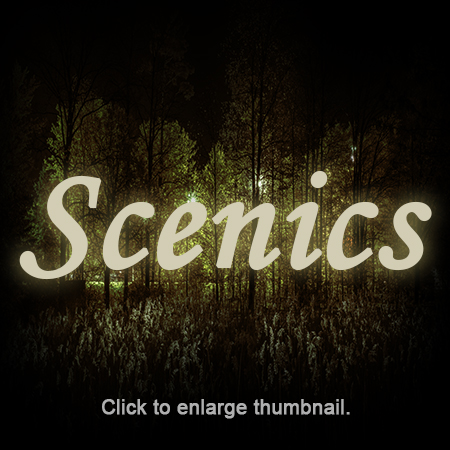 Scenics